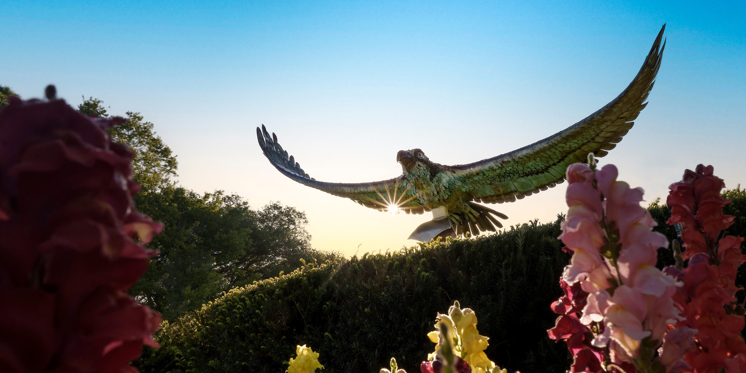 UNCW Statue in the Spring