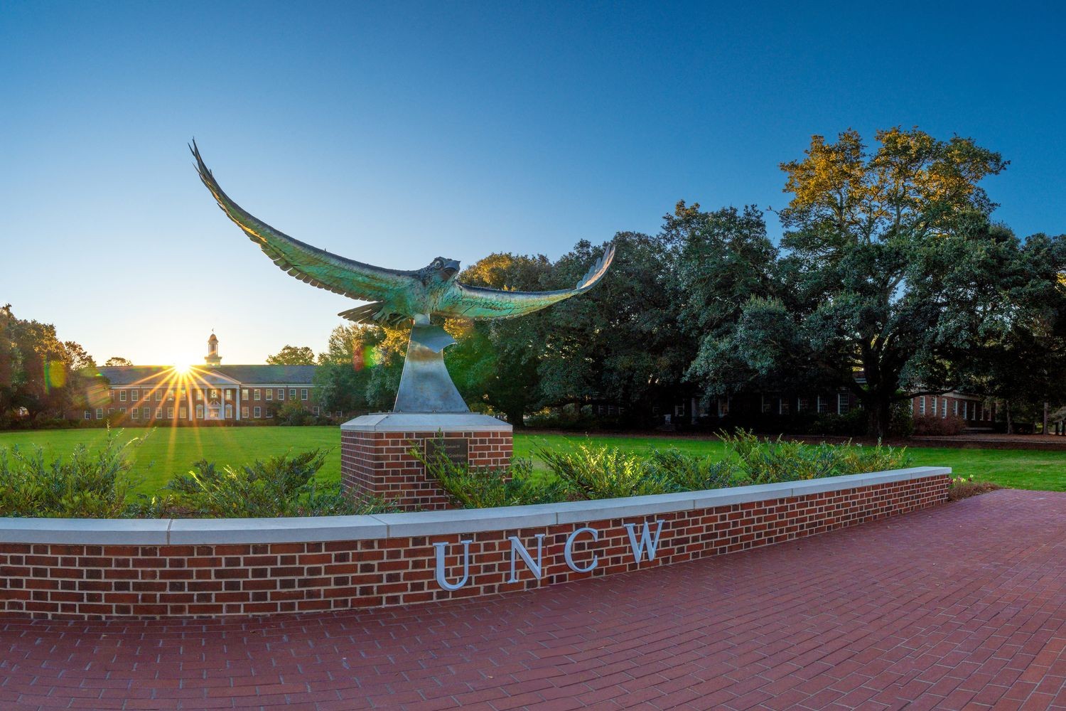 Students on campus