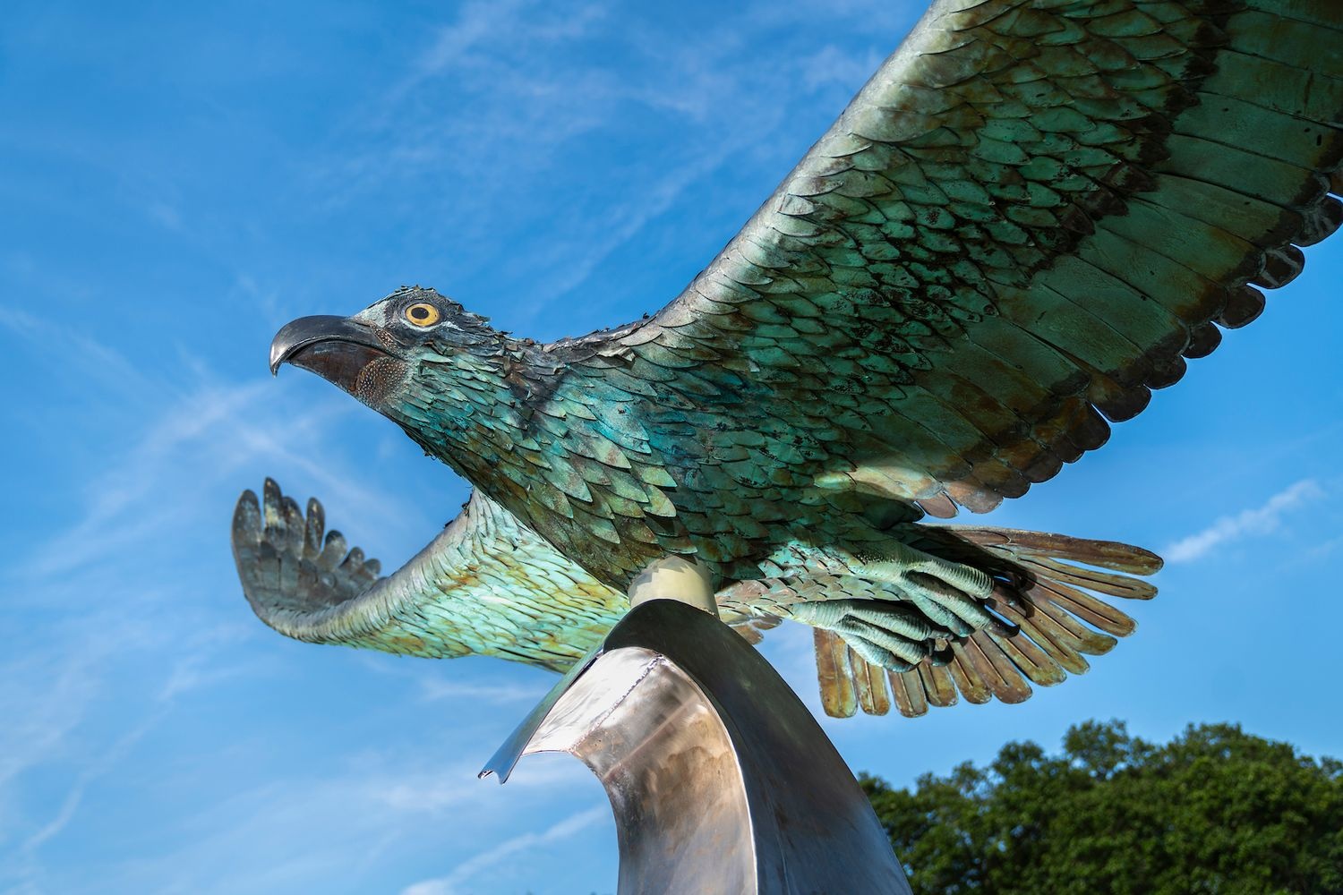 soaring seahawk statue